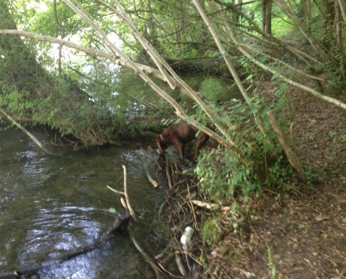 Waulsort Hastiere Ardennen