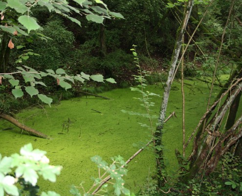 Waulsort Hastiere Ardennen