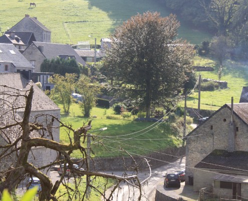 Falien Ardennen