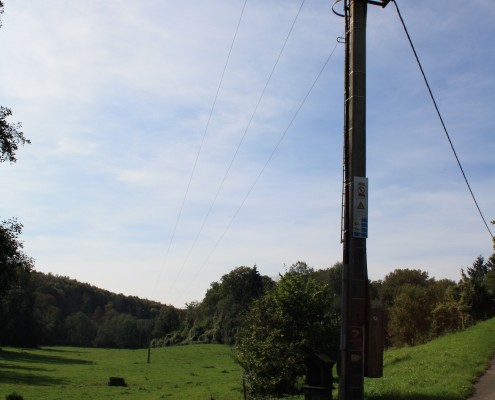 Falien Ardennen