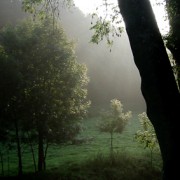 omgeving ardennen