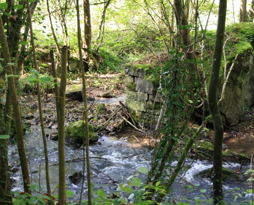 Falien Ardennen