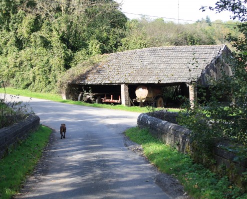 Falien Ardennen