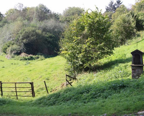 Falien Ardennen