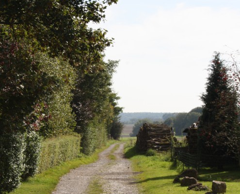 Falien Ardennen