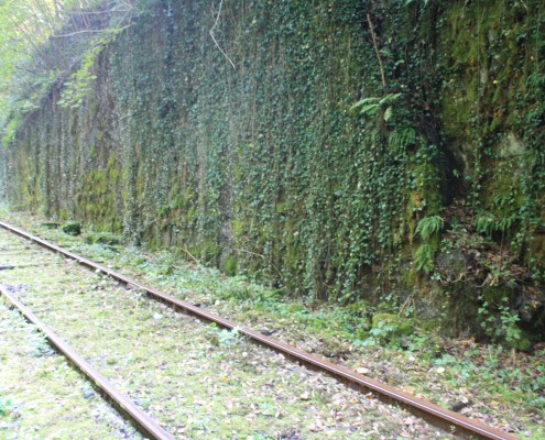 Falien Ardennen