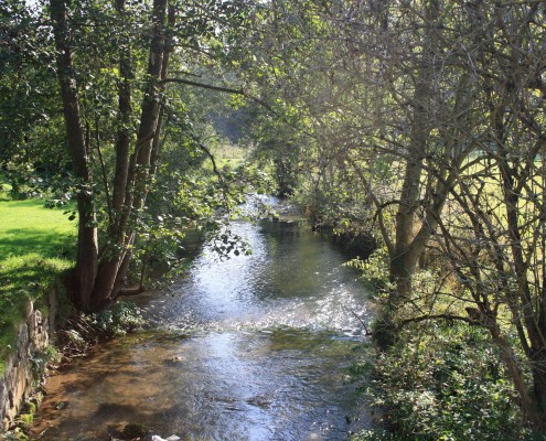 Falien Ardennen