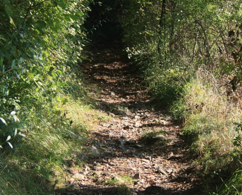 Falien Ardennen